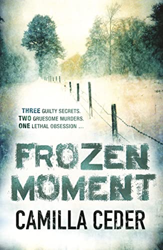 cover image Frozen Moment