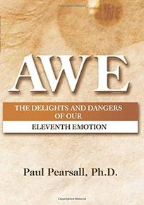 Awe: The Delights and Dangers of Our Eleventh Emotion