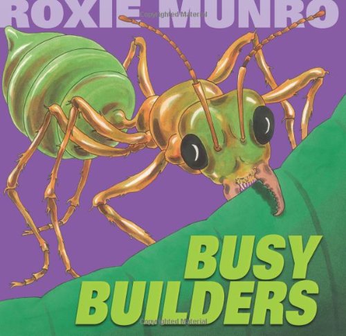 cover image Busy Builders