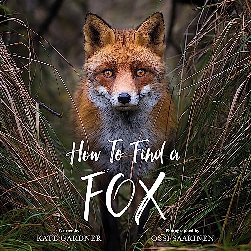 cover image How to Find a Fox