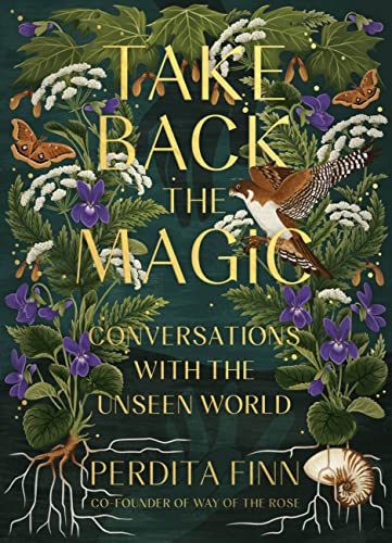 cover image Take Back the Magic: Conversations with the Unseen World