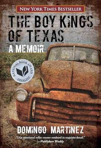 cover image The Boy Kings of Texas 