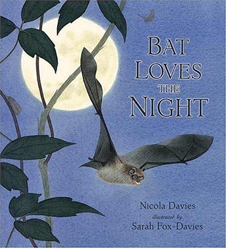 cover image Bat Loves the Night