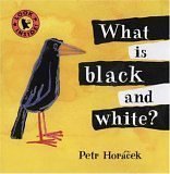 cover image What Is Black and White?