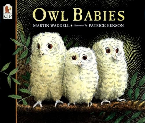 cover image OWL BABIES