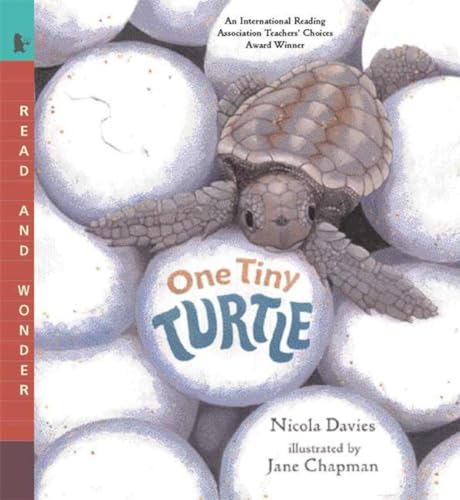 cover image ONE TINY TURTLE