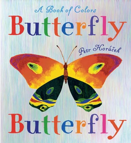 cover image Butterfly Butterfly: A Book of Colors