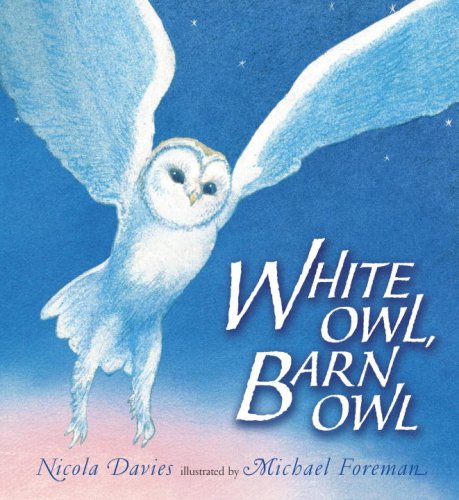 cover image White Owl, Barn Owl