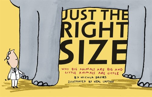 cover image Just the Right Size: Why Big Animals Are Big and Little Animals Are Little