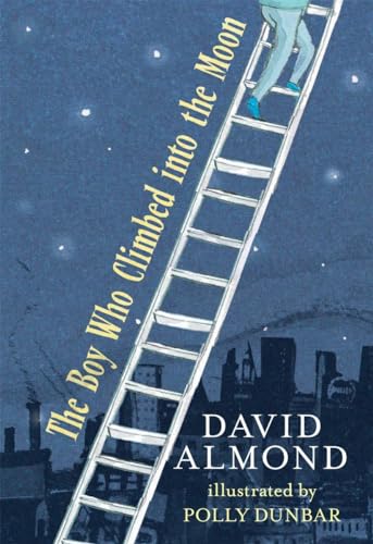 cover image The Boy Who Climbed into the Moon