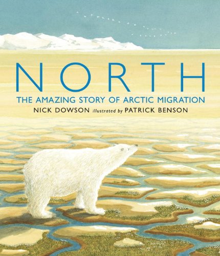 cover image North: The Amazing Story of Arctic Migration