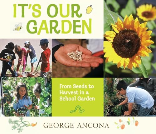 cover image It’s Our Garden: 
From Seeds to Harvest in a School Garden