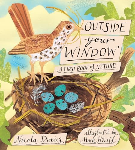 cover image Outside Your Window: A First Book of Nature