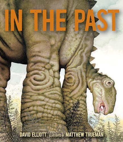 cover image In the Past: From Trilobites to Dinosaurs to Mammoths in More Than 500 Million Years