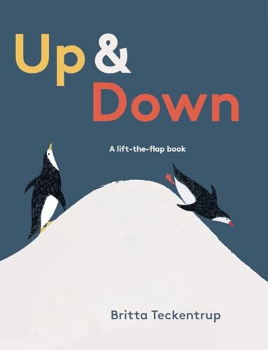 cover image Up & Down: A Lift-the-Flap Book