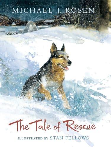 cover image The Tale of Rescue