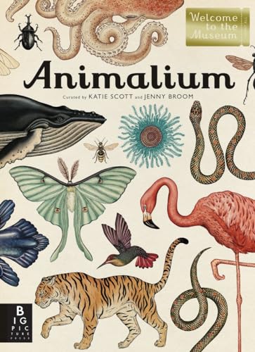 cover image Animalium