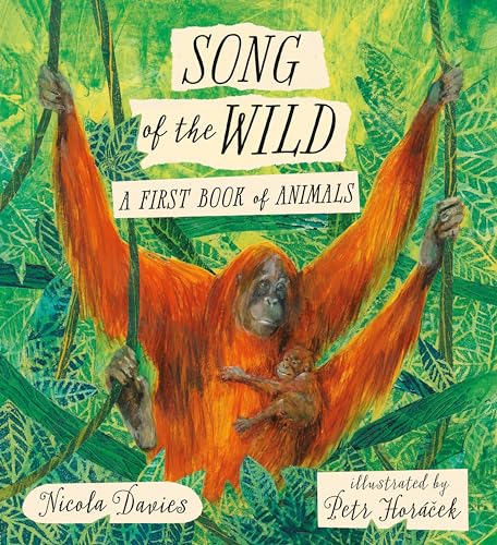 cover image Song of the Wild: A First Book of Animals