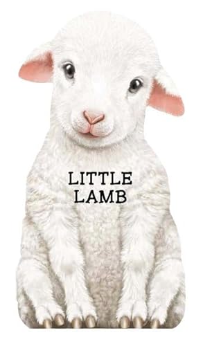 cover image Little Lamb
