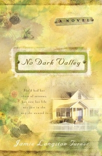 NO DARK VALLEY