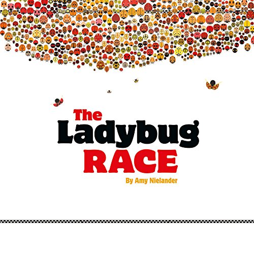 cover image The Ladybug Race