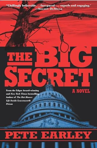 cover image THE BIG SECRET