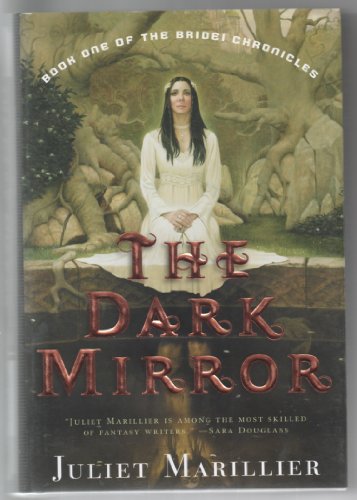 cover image The Dark Mirror: Book One of the Bridei Chronicles