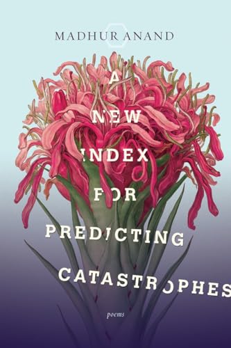 cover image A New Index for Predicting Catastrophes