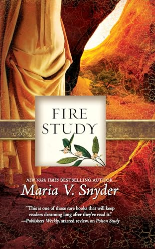 cover image Fire Study