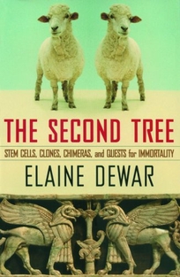 THE SECOND TREE: Stem Cells