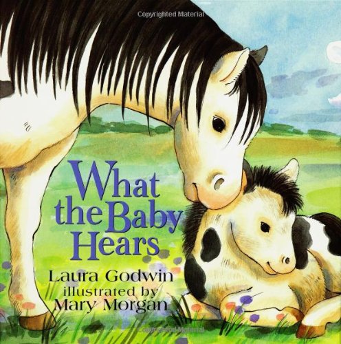 cover image WHAT THE BABY HEARS