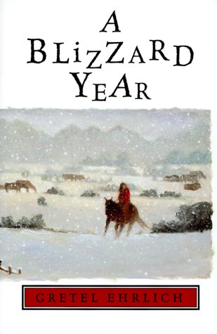 cover image A Blizzard Year