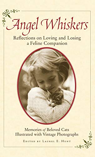 cover image Angel Whiskers: Reflections on Loving and Losing a Feline Companion