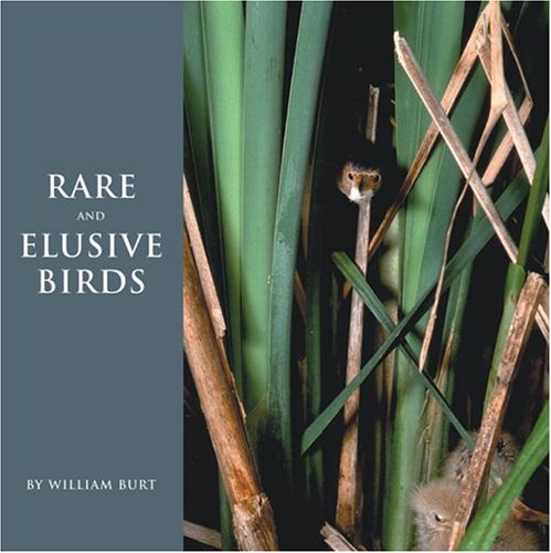 cover image Rare and Elusive Birds of North America