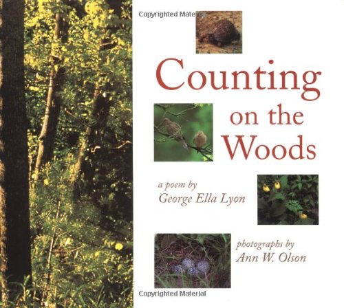 cover image Counting on the Woods