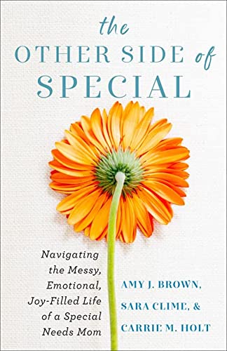 cover image The Other Side of Special: Navigating the Messy, Emotional, Joy-Filled Life of a Special Needs Mom