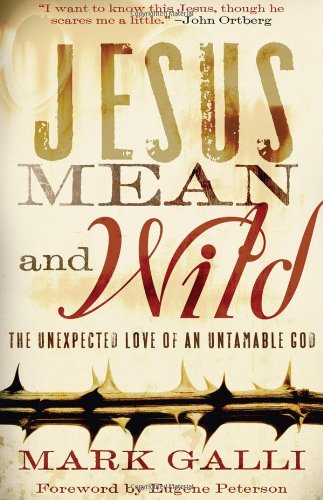 cover image Jesus Mean and Wild: The Unexpected Love of an Untamable God