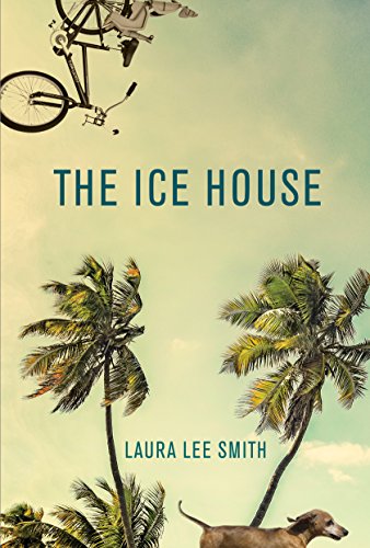 cover image The Ice House