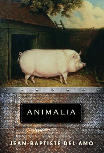 cover image Animalia