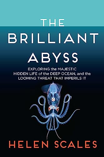 cover image The Brilliant Abyss: Exploring the Majestic Hidden Life of the Deep Ocean and the Looming Threat That Imperils It