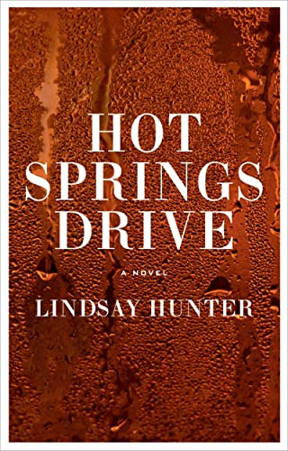 cover image Hot Springs Drive