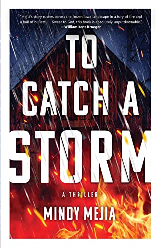 cover image To Catch a Storm