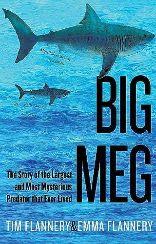 cover image Big Meg: The Story of the Largest and Most Mysterious Predator That Ever Lived