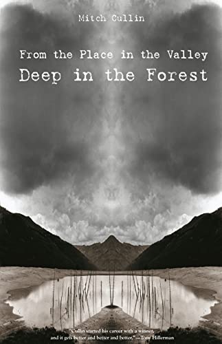 cover image FROM THE PLACE IN THE VALLEY DEEP IN THE FOREST