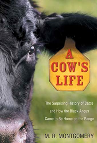 cover image A COW'S LIFE: The Surprising History of Cattle and How the Black Angus Came to Be Home on the Range