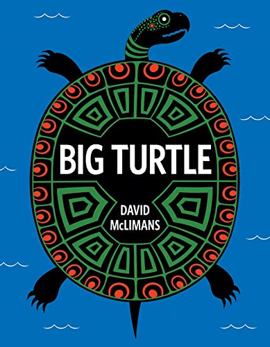 cover image Big Turtle