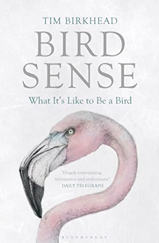 cover image Bird Sense: 
What It’s Like to Be a Bird