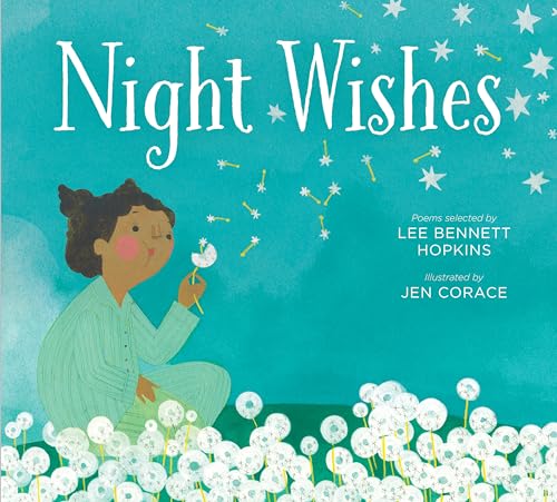cover image Night Wishes