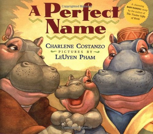 cover image A PERFECT NAME