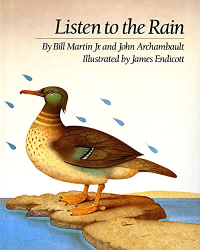 cover image Listen to the Rain